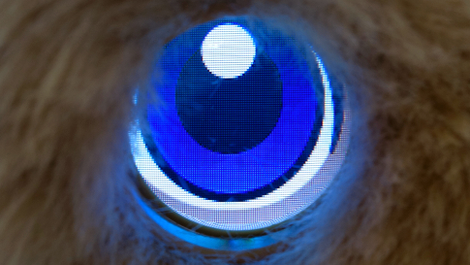 Teddy Ruxpin’s eyes use a low-res LCD screen, but it doesn’t hinder the toy’s expressions.